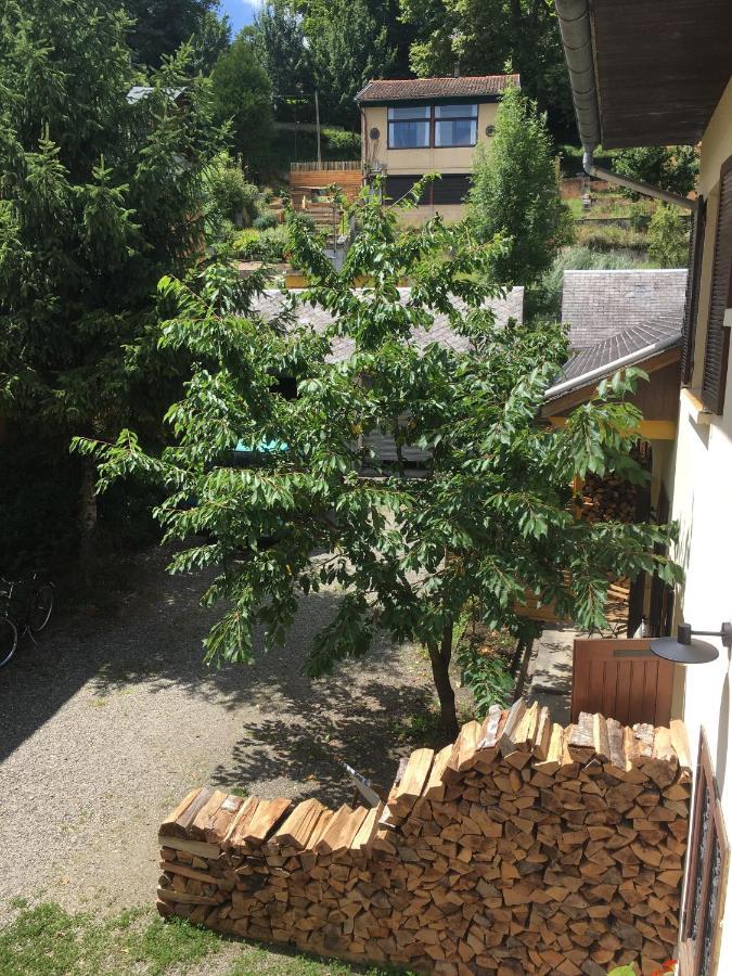 Charmant Appartement Sur Cour, Le Cerisier Bagnères-de-Bigorre Exterior foto