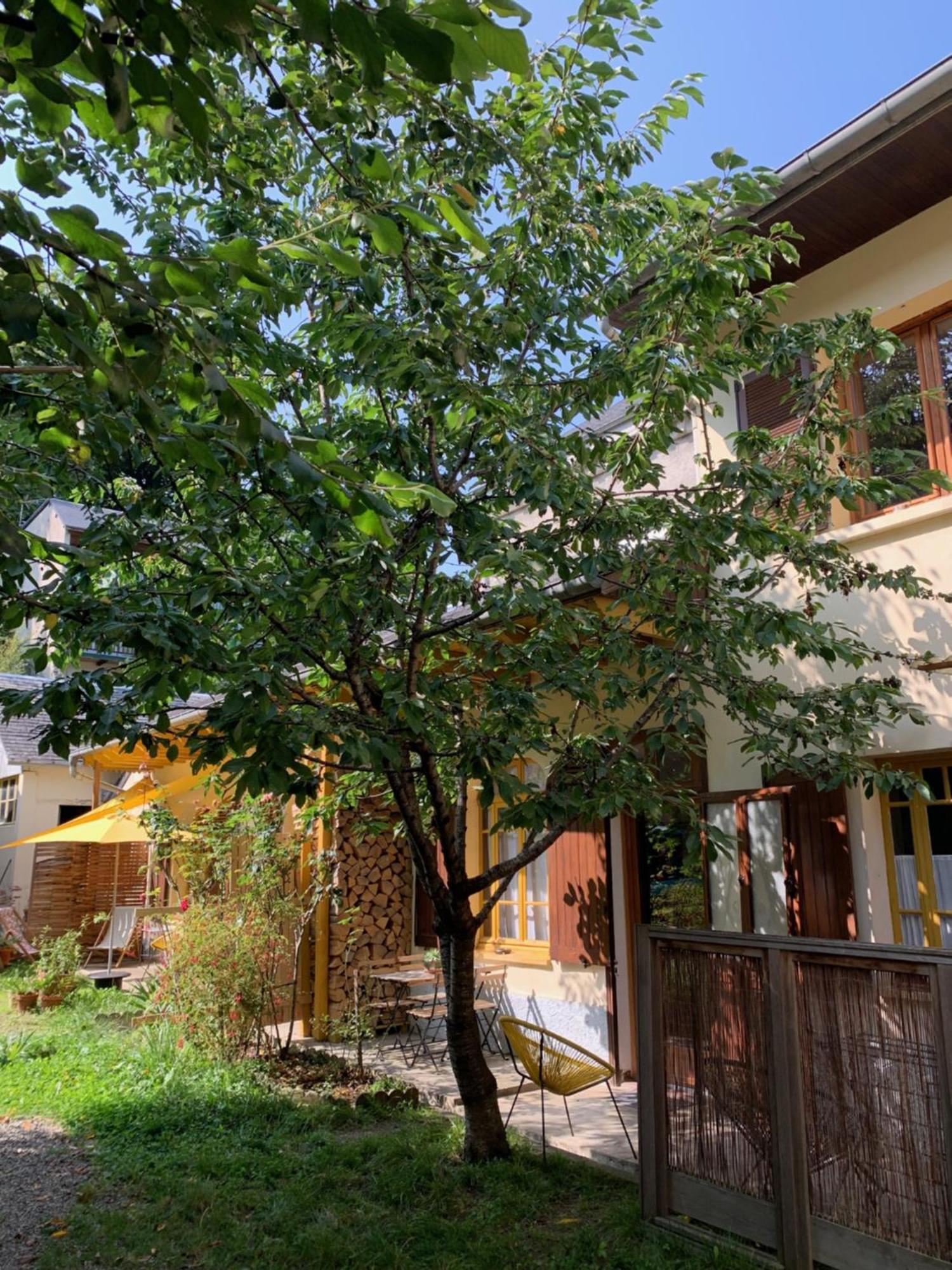 Charmant Appartement Sur Cour, Le Cerisier Bagnères-de-Bigorre Exterior foto